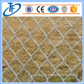 chain-link fences dog kennel